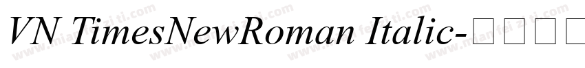 VN TimesNewRoman Italic字体转换